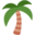 palm tree